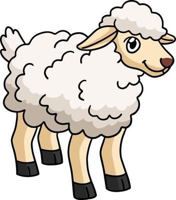 Sheep