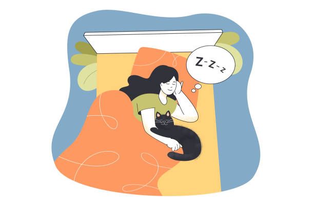 Snuggle under the blanket! 