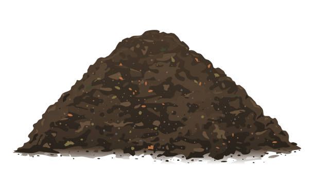 Soil
