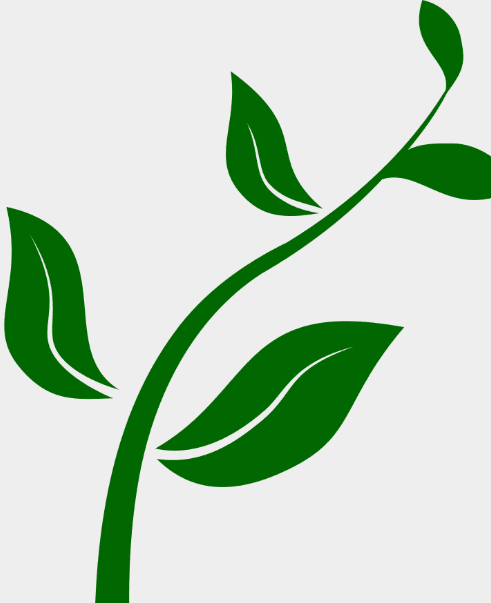 Stem
