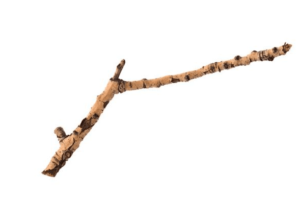 Stick
