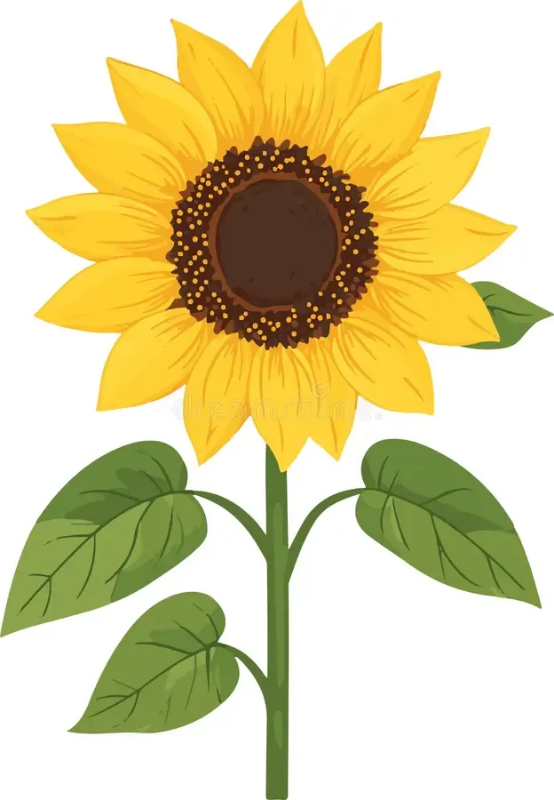 Nhấn để nghe Sunflower
