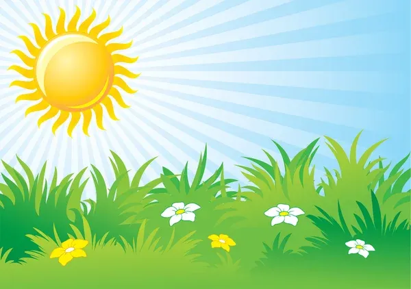 Sunny