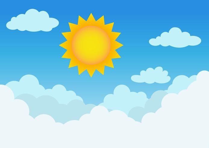 Sunny