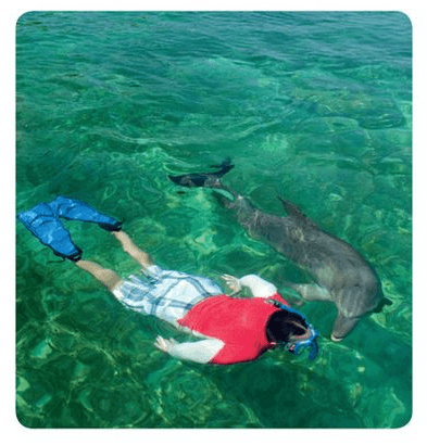 Swim in the ocean