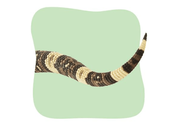 Tail 