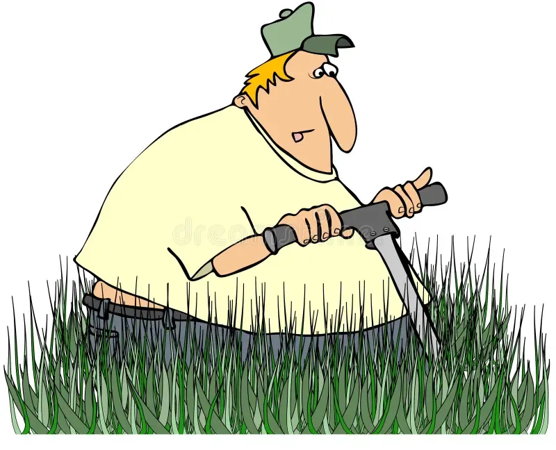  The grass is too long, let’s cut it.