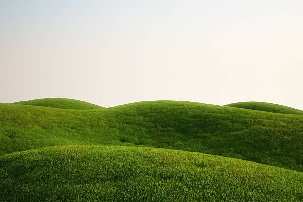 The hill is so green.