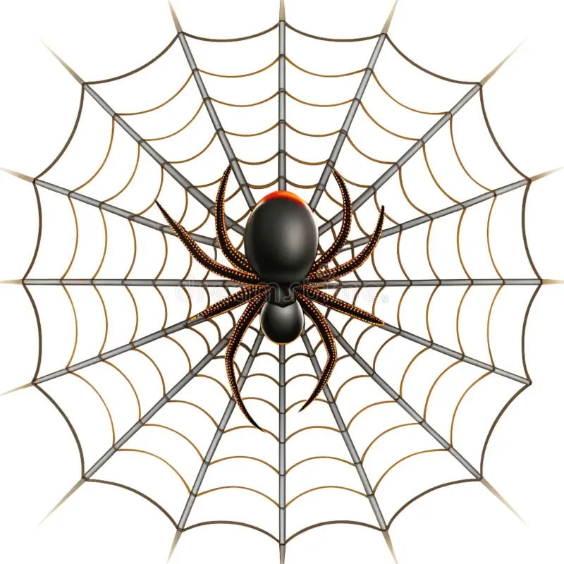  The spider makes a web.