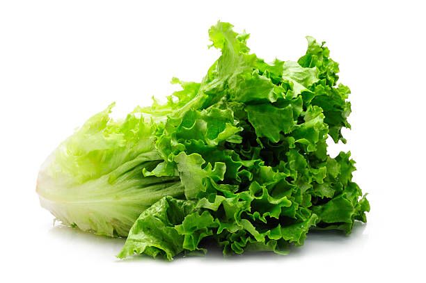 This lettuce is fresh!