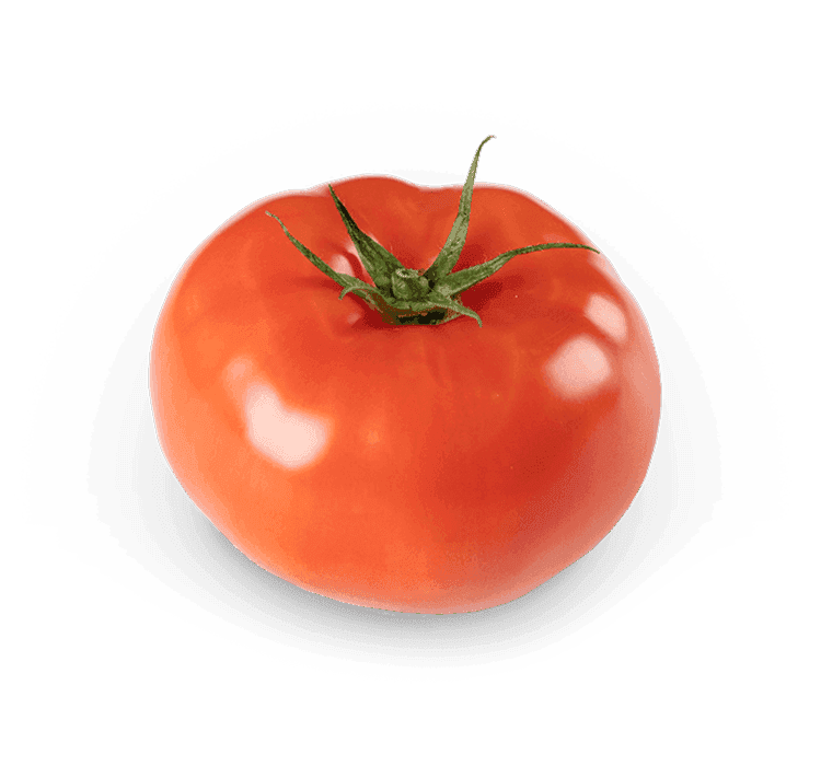 Tomato 