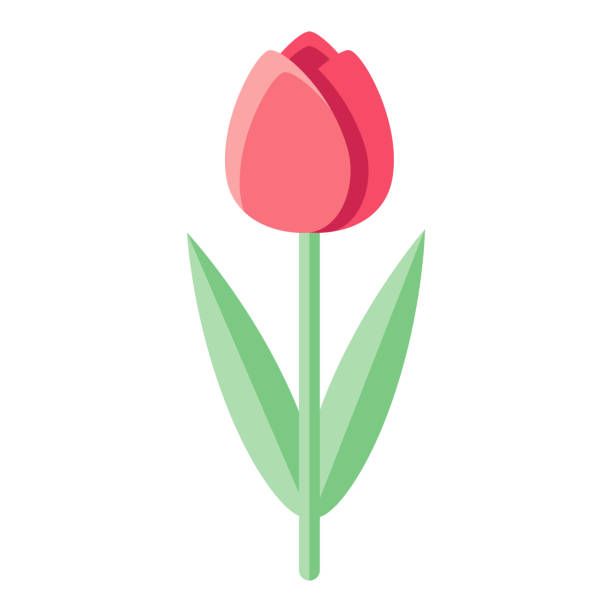 Nhấn để nghe Tulip