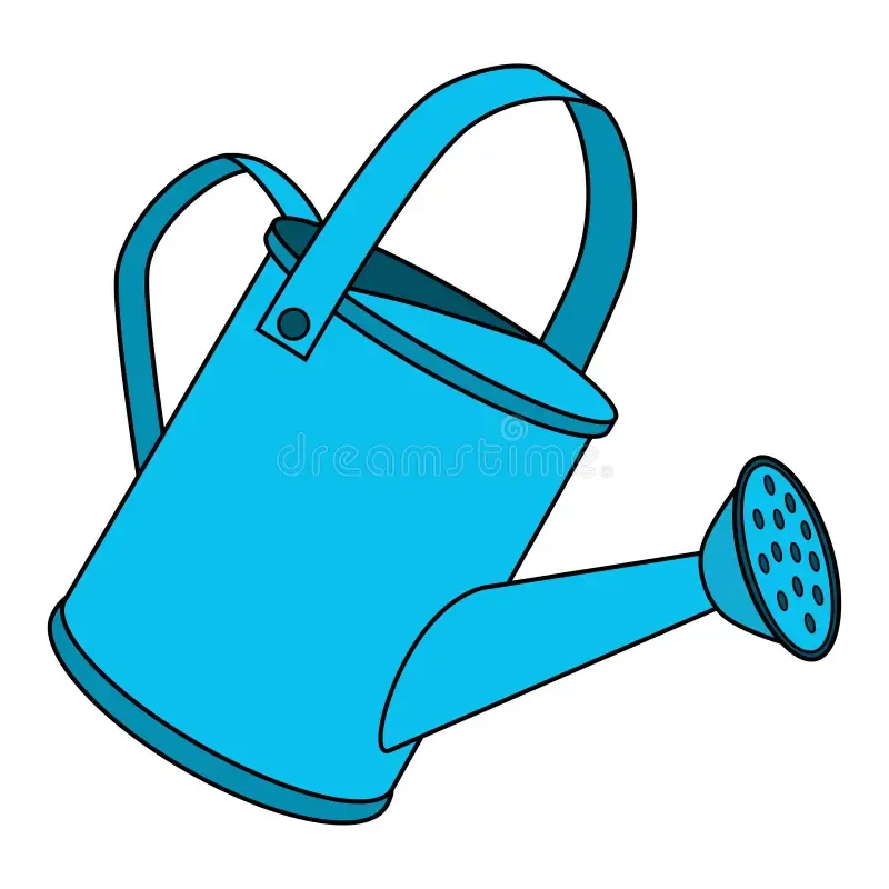 Watering pot