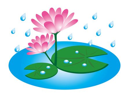 Nhấn để nghe Water lily