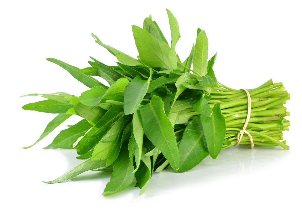 Water spinach