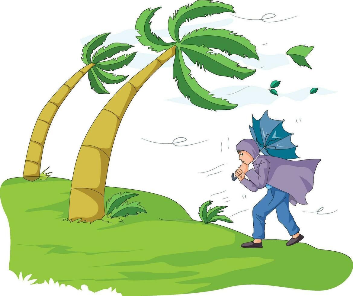 Windy